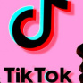 TikTok заблокировал популярные видео об украинских военных