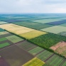 Как купить землю в Украине