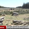 На Херсонщине "патриоты" массово вырубают леса, заявляя, что так нужно для борьбы с Путиным
