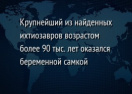 Крупнейший из найденных ихтиозавров возрастом более 90 тыс. лет оказался беременной самкой