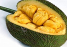 15 экзотических фруктов, которые не встретишь на прилавках наших супермаркетов