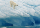 Ученые: останется ли Арктика без морских льдов